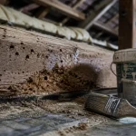 Traitement de charpente bois : vermoulure sur poutre en bois